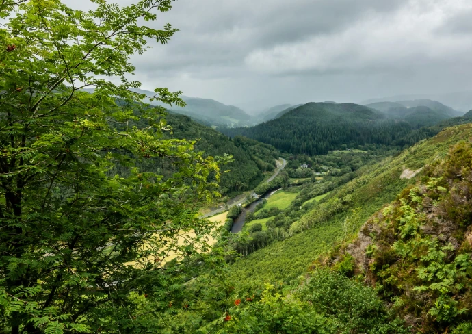 green trees on mountain under cloudy sky during daytime